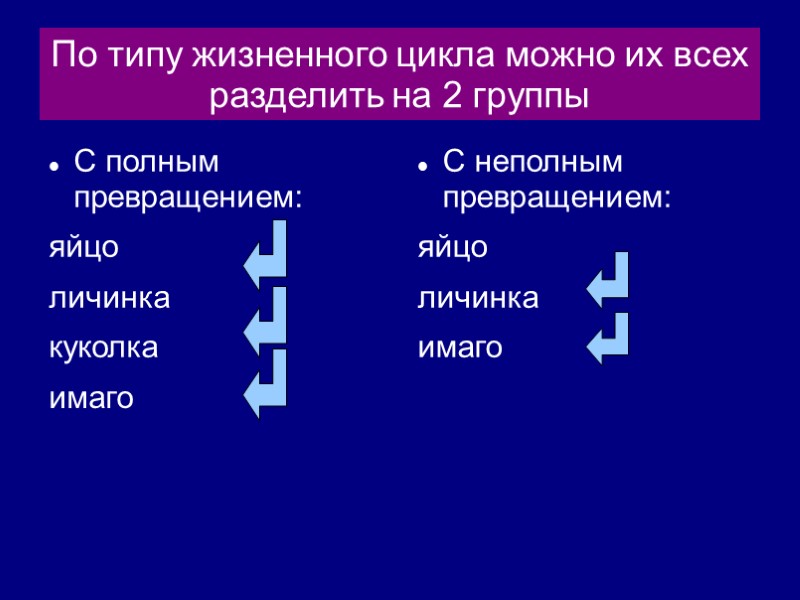 По типу жизненного цикла можно их всех разделить на 2 группы С полным превращением:
